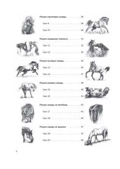 Пошаговые уроки рисования. Рисуем лошадей