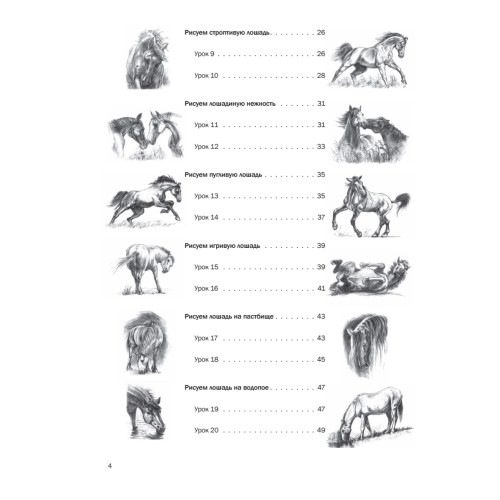 Пошаговые уроки рисования. Рисуем лошадей