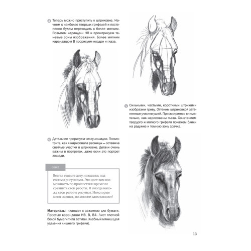 Пошаговые уроки рисования. Рисуем лошадей