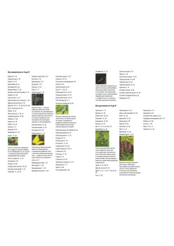 Лесная прогулка. Находилка-определялка с панорамными иллюстрациями.