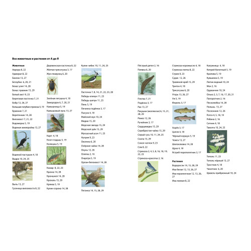 Речная прогулка. Находилка-определялка с панорамными иллюстрациями.