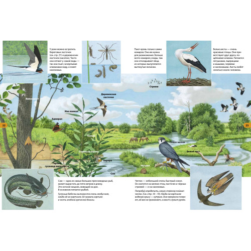 Речная прогулка. Находилка-определялка с панорамными иллюстрациями.