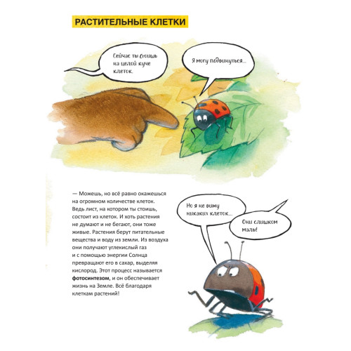 Из чего сделано все живое?