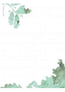 Мой первый гербарий. Цветы и листья