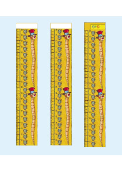 Сантиметр, миллиметр  — как им поместиться в метр?