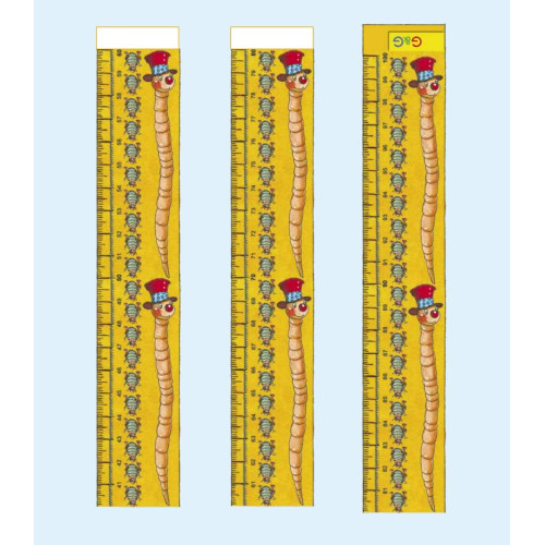 Сантиметр, миллиметр  — как им поместиться в метр?