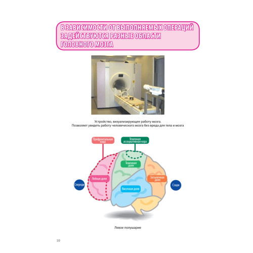 Тренируй свою память. Японская система сохранения здоровья мозга