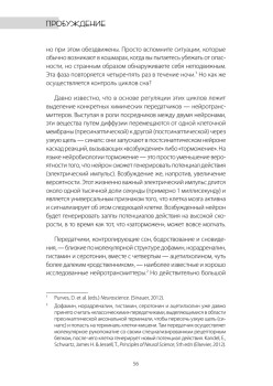 Один день из жизни мозга. Нейробиология сознания от рассвета до заката