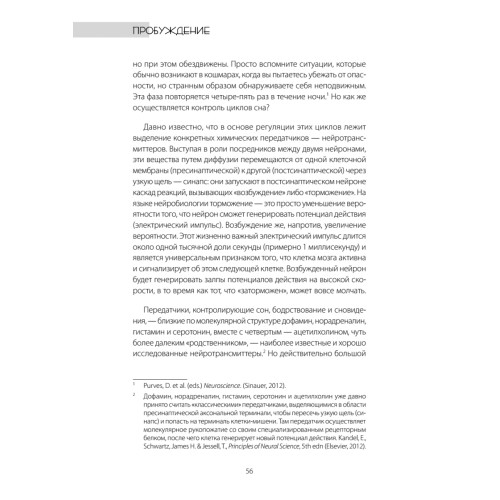 Один день из жизни мозга. Нейробиология сознания от рассвета до заката