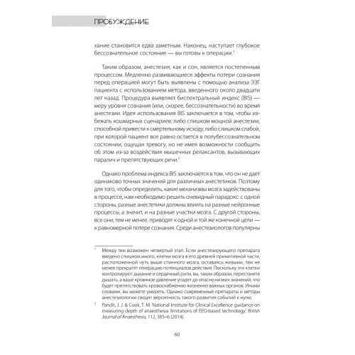 Один день из жизни мозга. Нейробиология сознания от рассвета до заката