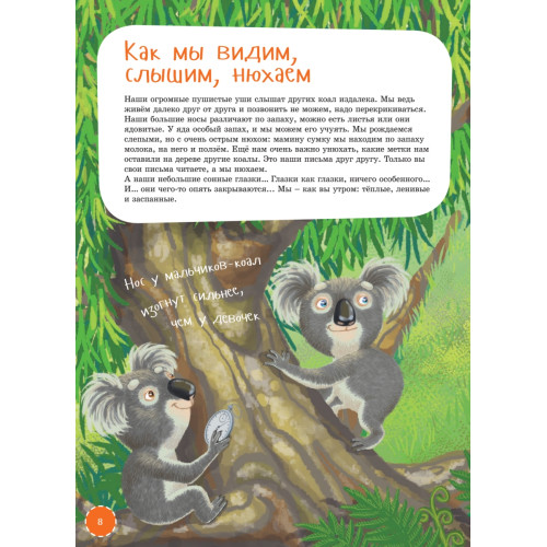 Я коала
