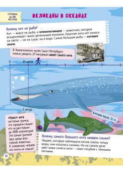 Почему кит не рыба? Интересные факты о морских обитателях