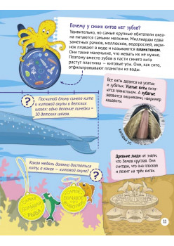 Почему кит не рыба? Интересные факты о морских обитателях