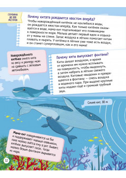 Почему кит не рыба? Интересные факты о морских обитателях