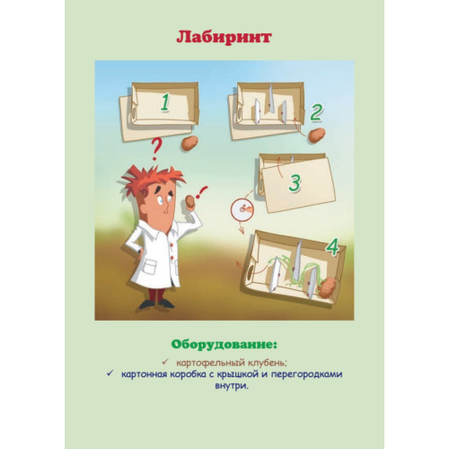 Увлекательные опыты с растениями и солнечным светом. 25 развивающих карточек