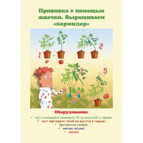 Увлекательные опыты с растениями и солнечным светом. 25 развивающих карточек