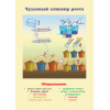 Увлекательные опыты с растениями и солнечным светом. 25 развивающих карточек