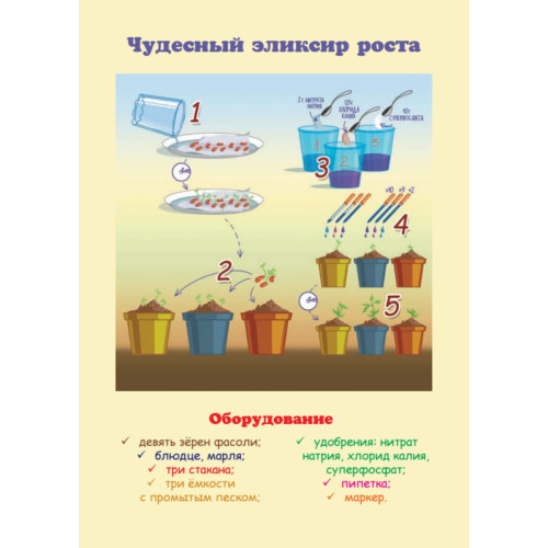 Увлекательные опыты с растениями и солнечным светом. 25 развивающих карточек