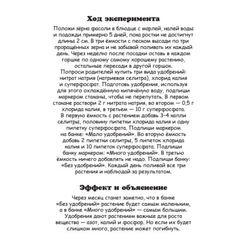 Увлекательные опыты с растениями и солнечным светом. 25 развивающих карточек