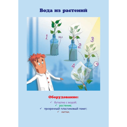 Увлекательные опыты с растениями и солнечным светом. 25 развивающих карточек