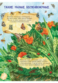 Большая книга о насекомых и не только