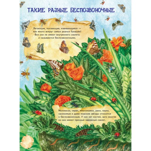 Большая книга о насекомых и не только