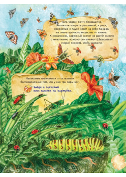 Большая книга о насекомых и не только