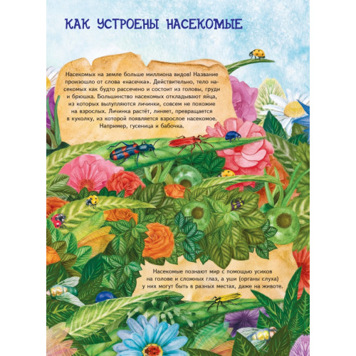 Большая книга о насекомых и не только