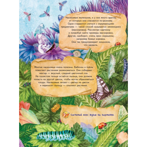 Большая книга о насекомых и не только