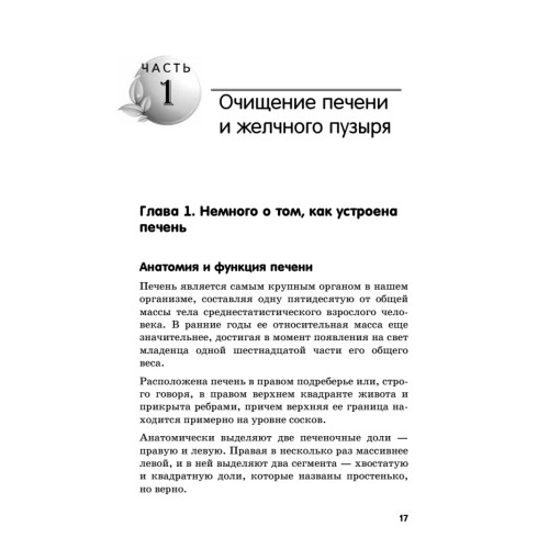 Очищение печени и почек