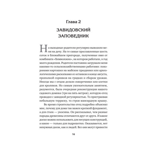 Принцип Рамзая. Записки военного разведчика