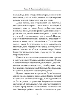 Принцип Рамзая. Записки военного разведчика