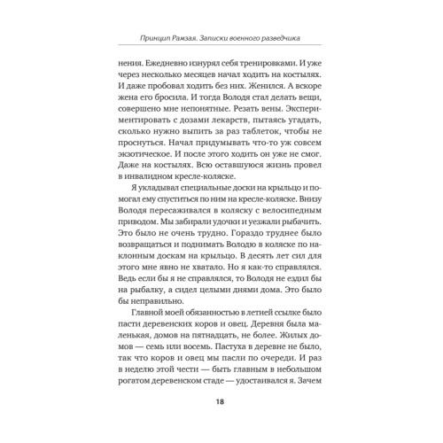 Принцип Рамзая. Записки военного разведчика