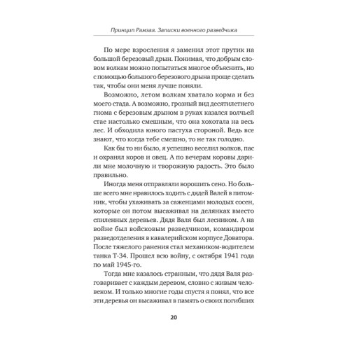 Принцип Рамзая. Записки военного разведчика