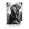 Dogs and other people