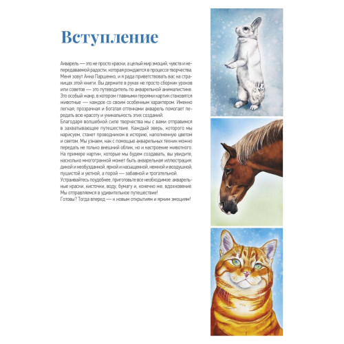 Школа рисования. Домашние животные акварелью