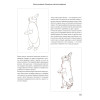 Школа рисования. Домашние животные акварелью