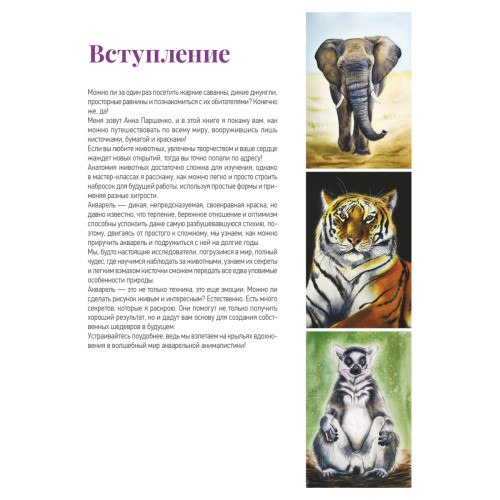 Школа рисования. Дикие животные акварелью