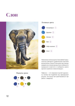 Школа рисования. Дикие животные акварелью