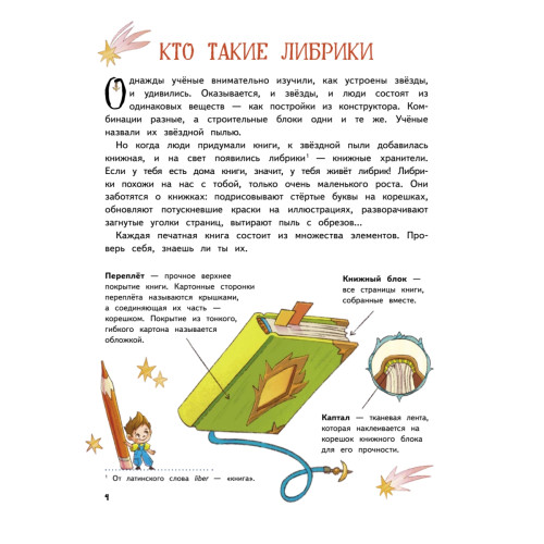 Книжные тайны. Приключения хранителей библиотек. От папируса до цифровых страниц